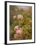 Pink Roses-Alexandre Debrus-Framed Giclee Print