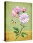 Pink Roses-Maria Rytova-Stretched Canvas