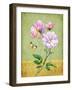 Pink Roses-Maria Rytova-Framed Giclee Print