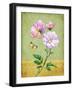 Pink Roses-Maria Rytova-Framed Giclee Print