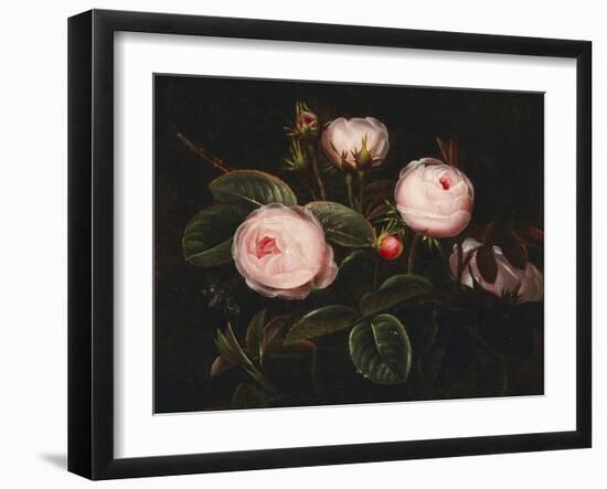 Pink Roses-Johan Laurentz Jensen-Framed Giclee Print