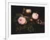 Pink Roses-Johan Laurentz Jensen-Framed Giclee Print