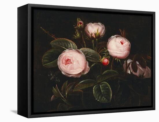 Pink Roses-Johan Laurentz Jensen-Framed Stretched Canvas