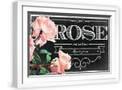 White Frame