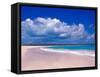 Pink Sand Beach, Harbour Island, Bahamas-Greg Johnston-Framed Stretched Canvas