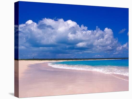 Pink Sand Beach, Harbour Island, Bahamas-Greg Johnston-Stretched Canvas