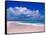 Pink Sand Beach, Harbour Island, Bahamas-Greg Johnston-Framed Stretched Canvas