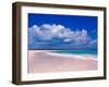 Pink Sand Beach, Harbour Island, Bahamas-Greg Johnston-Framed Premium Photographic Print