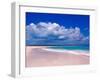 Pink Sand Beach, Harbour Island, Bahamas-Greg Johnston-Framed Premium Photographic Print