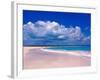 Pink Sand Beach, Harbour Island, Bahamas-Greg Johnston-Framed Photographic Print