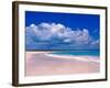 Pink Sand Beach, Harbour Island, Bahamas-Greg Johnston-Framed Photographic Print