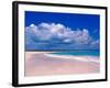 Pink Sand Beach, Harbour Island, Bahamas-Greg Johnston-Framed Photographic Print