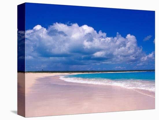 Pink Sand Beach, Harbour Island, Bahamas-Greg Johnston-Stretched Canvas