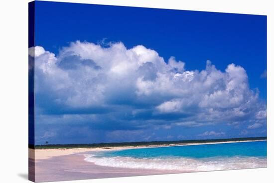 Pink Sand Beach, Harbour Island, Bahamas-Greg Johnston-Stretched Canvas