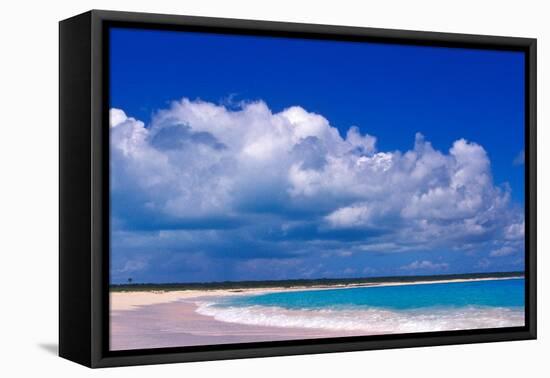 Pink Sand Beach, Harbour Island, Bahamas-Greg Johnston-Framed Stretched Canvas