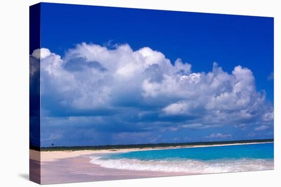 Pink Sand Beach, Harbour Island, Bahamas-Greg Johnston-Stretched Canvas