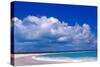 Pink Sand Beach, Harbour Island, Bahamas-Greg Johnston-Stretched Canvas