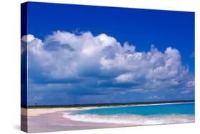 Pink Sand Beach, Harbour Island, Bahamas-Greg Johnston-Stretched Canvas