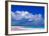 Pink Sand Beach, Harbour Island, Bahamas-Greg Johnston-Framed Photographic Print