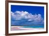 Pink Sand Beach, Harbour Island, Bahamas-Greg Johnston-Framed Photographic Print