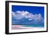 Pink Sand Beach, Harbour Island, Bahamas-Greg Johnston-Framed Photographic Print