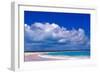 Pink Sand Beach, Harbour Island, Bahamas-Greg Johnston-Framed Photographic Print