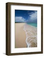 Pink Sand Beach Is Located on the Southwest Coast of the Small Island of Barbuda-Roberto Moiola-Framed Photographic Print