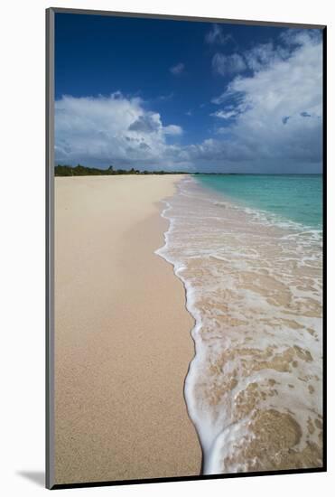 Pink Sand Beach Is Located on the Southwest Coast of the Small Island of Barbuda-Roberto Moiola-Mounted Photographic Print