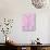 Pink Santa Fe Garden-Cat Coquillette-Art Print displayed on a wall