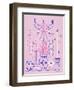 Pink Santa Fe Garden-Cat Coquillette-Framed Art Print