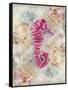 Pink Seahorse-LuAnn Roberto-Framed Stretched Canvas