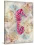 Pink Seahorse-LuAnn Roberto-Stretched Canvas