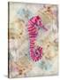 Pink Seahorse-LuAnn Roberto-Stretched Canvas