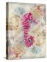 Pink Seahorse-LuAnn Roberto-Stretched Canvas