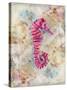 Pink Seahorse-LuAnn Roberto-Stretched Canvas