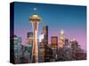 Pink Seattle.-Juan Pablo-Stretched Canvas