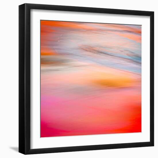 Pink Sensation-Lynne Douglas-Framed Photographic Print