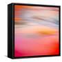 Pink Sensation-Lynne Douglas-Framed Stretched Canvas