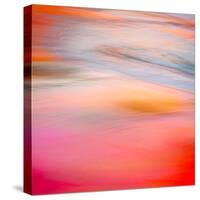 Pink Sensation-Lynne Douglas-Stretched Canvas