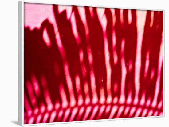 Pink shade-Peter Morneau-Framed Art Print