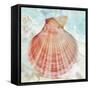 Pink Shell-Aimee Wilson-Framed Stretched Canvas