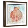 Pink Shell-Aimee Wilson-Framed Art Print