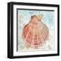 Pink Shell-Aimee Wilson-Framed Art Print