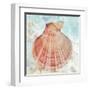 Pink Shell-Aimee Wilson-Framed Art Print