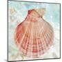 Pink Shell-Aimee Wilson-Mounted Art Print