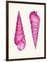 Pink Shells a-Fab Funky-Framed Art Print