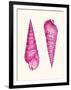 Pink Shells a-Fab Funky-Framed Art Print