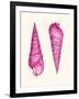 Pink Shells a-Fab Funky-Framed Art Print