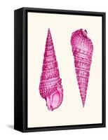 Pink Shells a-Fab Funky-Framed Stretched Canvas