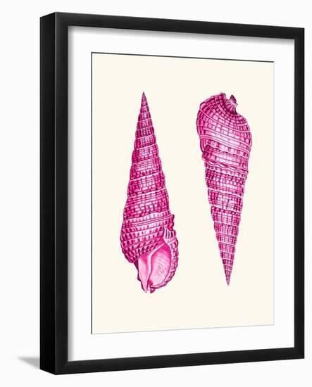 Pink Shells a-Fab Funky-Framed Art Print